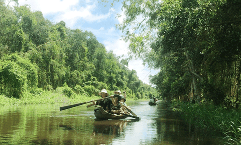 Gáo Giồng – Đồng Tháp Mười thu nhỏ