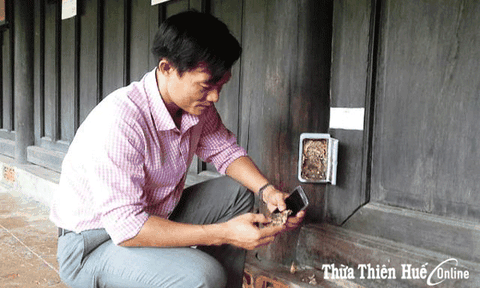 Ứng dụng công nghệ chống mối mới cho di tích