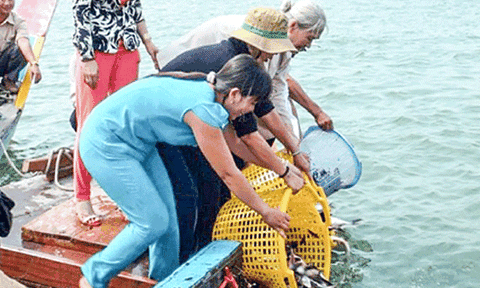 Vì sao Vàm Nao nước chảy đứt đuôi xà?