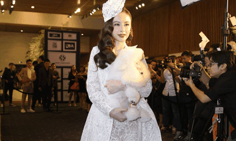 Những 'chiêu' gây sức hút trên thảm đỏ của sao Việt