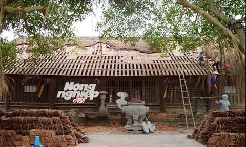 Chùa Bút Tháp - trùng tu hay phá hoại?...