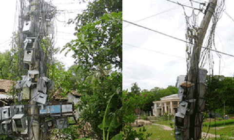 Bẫy chết người từ lưới điện nông thôn 