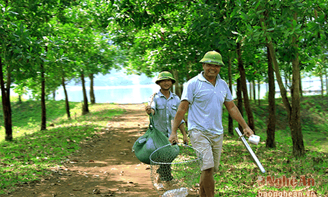 Vẻ đẹp thơ mộng của hồ nước ngọt lớn nhất Nghệ An