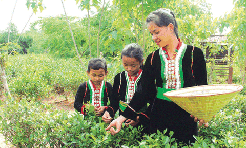 Gắn bó lâu dài, bảo tồn bền vững