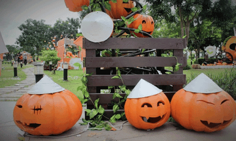 Phố Sài Gòn mới lạ bên những quả bí khổng lồ chào Halloween