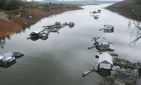 Giữa sông hồ hoang liêu tôi cũng có "mái nhà"