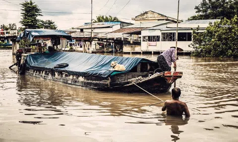 ​Mái Dầm mùa nước dâng