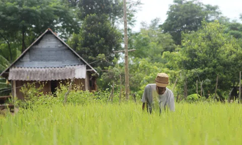 Thung lũng mồ côi 