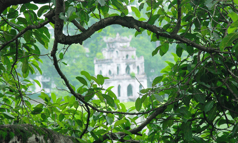 Tháp Rùa trầm mặc sau cành lá