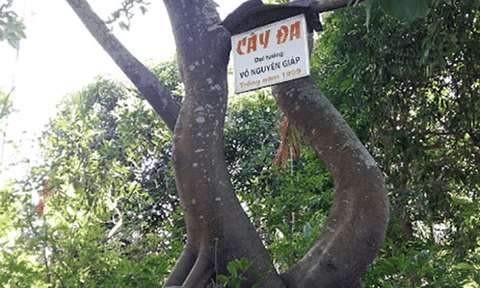 Tham quan chùa An Xá ở quê hương Đại tướng Võ Nguyên Giáp