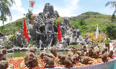 Nét độc đáo của Đảo Khỉ Nha Trang