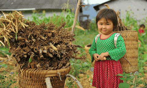  Quẩy tấu - nét đẹp của người dân vùng cao