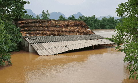 Lũ lên còn gì chạy nấy