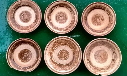 Đào đất trồng cây, phát lộ nhóm hiện vật gốm cổ thời Trần