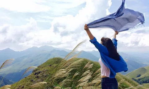 Cung đường quyến rũ sắc trắng cỏ lau trên 'sống lưng khủng long' 