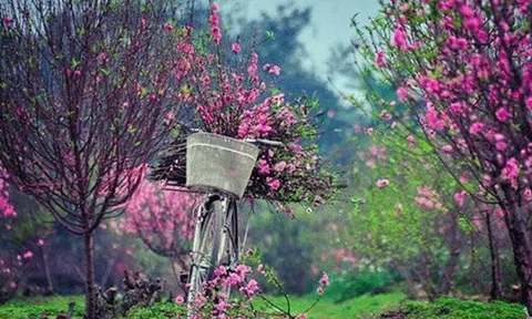 Bộ Nội vụ thống nhất phương án nghỉ Tết Âm lịch 7 ngày