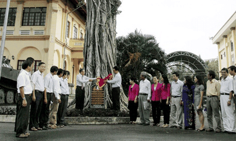 Đón nhận bằng công nhận cây di tích lịch sử văn hóa