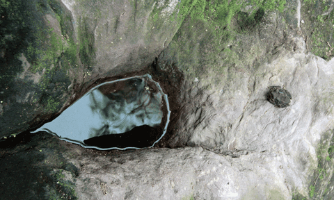 Kì bí giếng nước có cóc ngồi canh không bao giờ cạn 