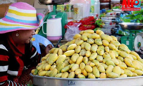 Trái cây trái vụ Bảy Núi