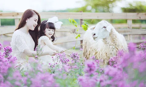 Đắm mình giữa Thảo nguyên hoa