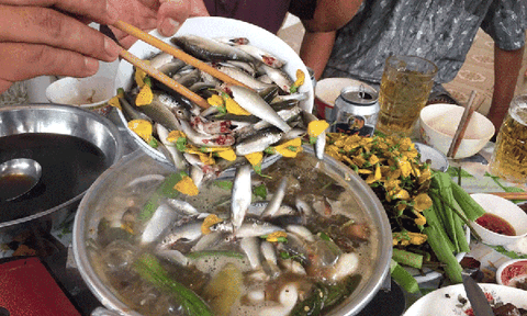 Cá linh mùa nước nổi