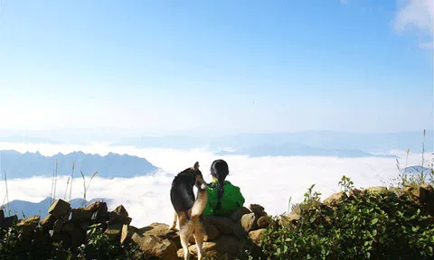 Cô nàng đi phượt với cún cưng gây sốt cộng đồng mạng 