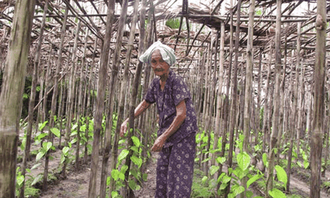 Tinh hoa làng nghề cổ Sài Gòn 