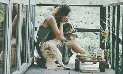  Khu nghỉ hoang sơ giữa rừng không mất tiền ở Đà Lạt