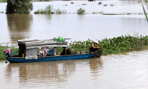 Tươi, ngon sản vật mùa nước nổi
