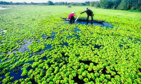 10 địa danh ở Việt Nam bạn nên đến trước tuổi 30