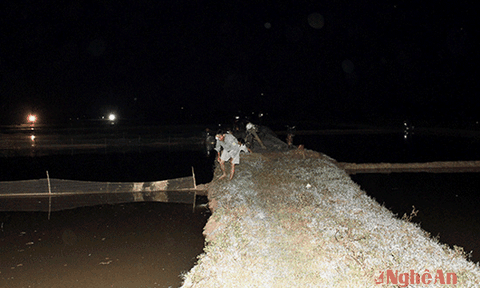 Nửa đêm, người già, trẻ nhỏ nhộn nhịp đi vớt 'lộc trời'