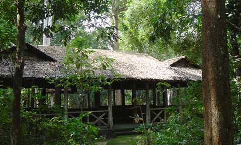  Nhà Chính phủ giữa rừng Tân Lập 