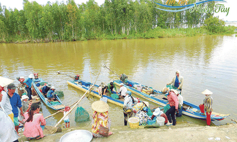 Bồi hồi phiên chợ quê mùa nước nổi