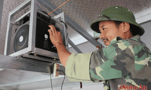 Lạ: Nông dân cho lợn nghe nhạc giúp hay ăn, chóng lớn