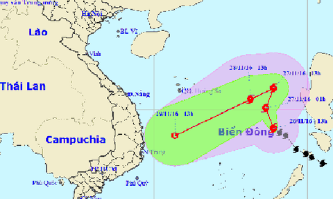 Chủ động ứng phó bão số 9