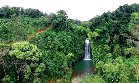 Thác Pa Sỹ - “Nàng tiên” của đại ngàn Măng Đen