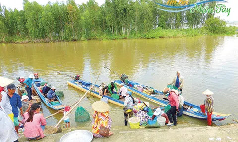 Một thoáng chợ quê