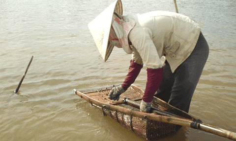 Nghề đánh bắt cá ven bờ sông Tích