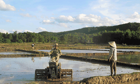 Minh Hóa: Để sản xuất nông nghiệp "hồi sinh"sau lũ