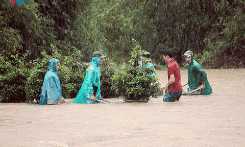 Nông dân Bình Định liều mình “vật lộn” trong lũ cứu mai