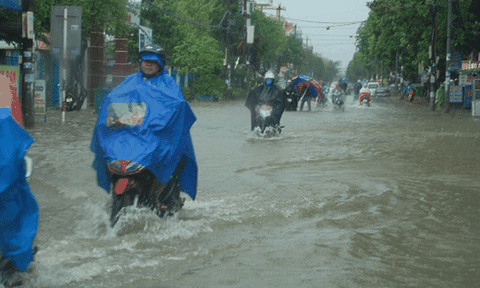  Mưa lũ nghiêm trọng tại Quảng Nam - Quảng Ngãi 