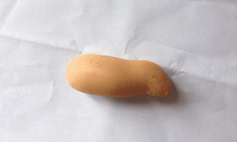 Kỳ lạ quả trứng gà giống… con heo 