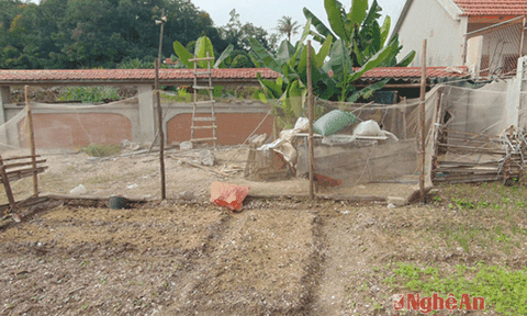 Di chỉ khảo cổ tiêu biểu thời đá mới biến thành nơi trồng rau, nuôi gà