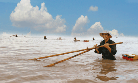 Trầm mình theo dấu ruốc