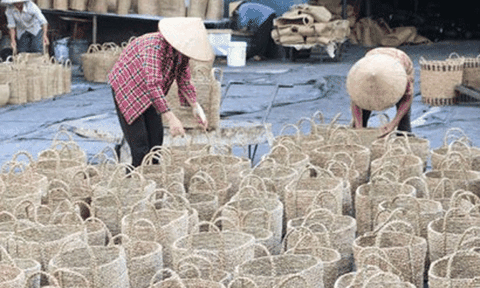 Làng nghề đan cỏ tế Lưu Thượng