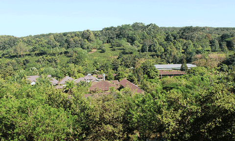  Lâm viên Mỹ Lệ: Sơn thủy hữu tình…