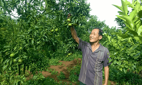 Ði lên từ "điểm tựa 135"