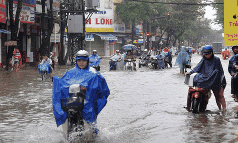 Quảng Ngãi đảo lộn vì mưa lớn, nước dâng cao ngập nặng 