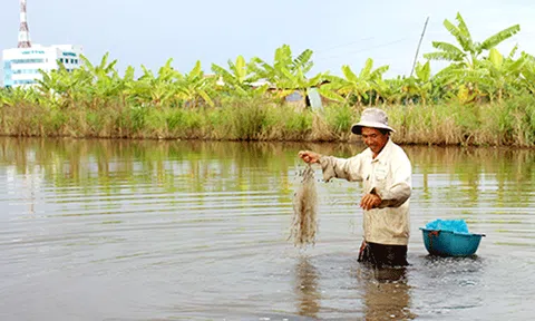 “Hồi đó, mùa nước nổi...”