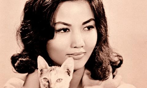 Nữ diễn viên Việt Nam đóng phim Hollywood từng phải đi quét dọn, hốt phân gà